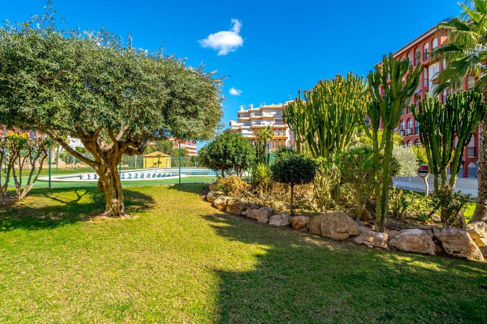 Nice modern 2 bed apartment in Torrievieja Torrevieja Buitenkant foto